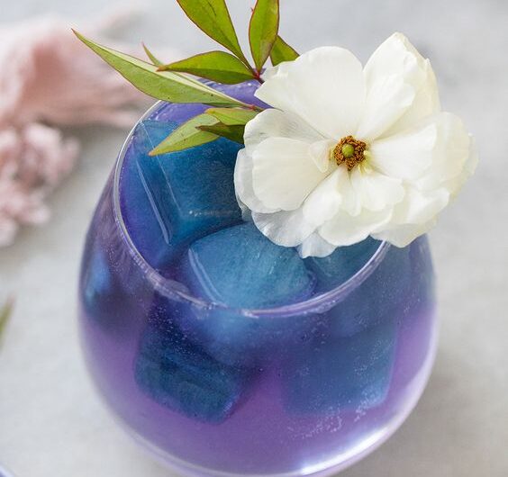 Butterfly Pea Flower Cocktail Recipe