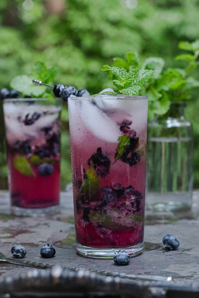 Blueberry Mojito Mocktail