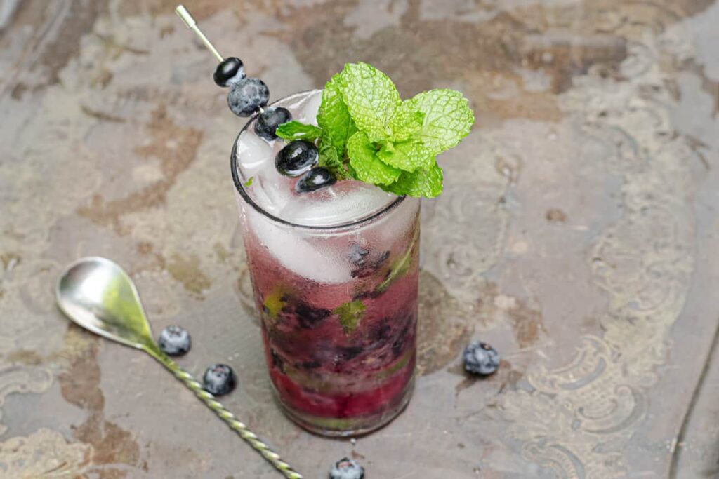 Blueberry Mojito Mocktail