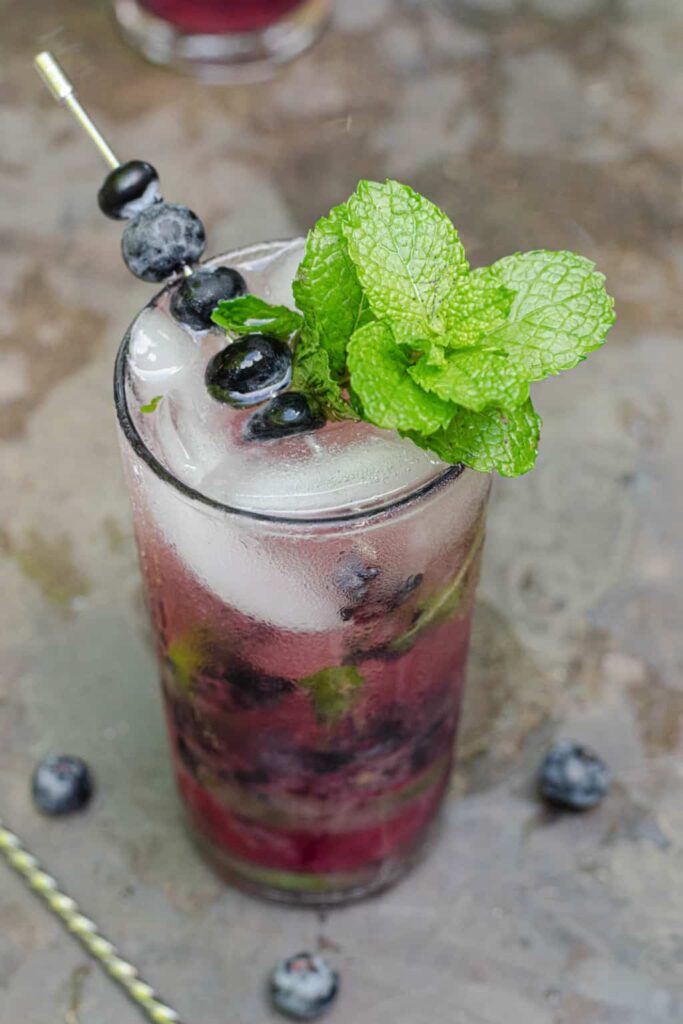 Blueberry Mojito Mocktail