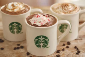 Easy Homemade Starbucks Peppermint Mocha Coffee Recipe